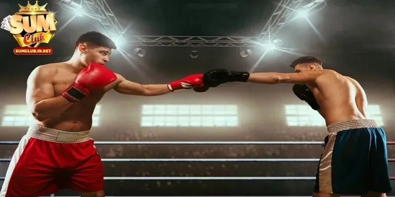 Áp dụng bí quyết cá độ quyền anh thu tiền lời lớn