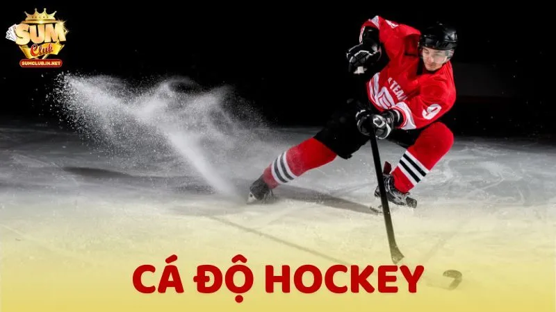 Cá độ Hockey