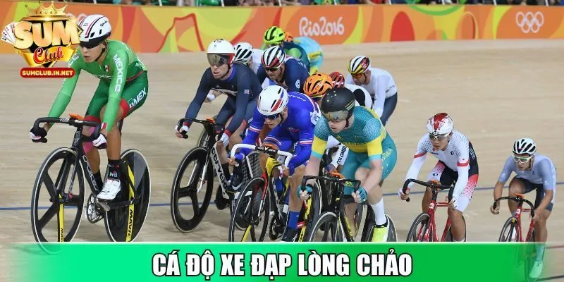 Cá độ xe đạp lòng chảo