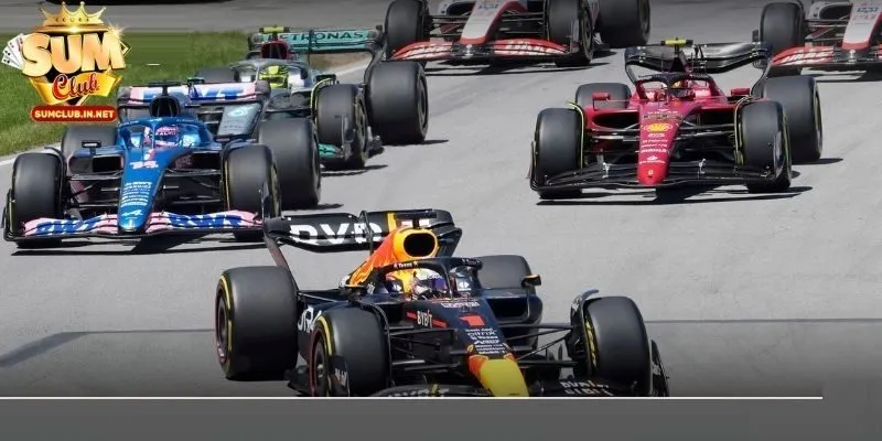 Chú ý đến các yếu tố khi tham gia cá cược đua ô tô